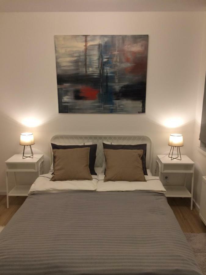 Elegant Apartment Close To The Old Town فيلنيوس المظهر الخارجي الصورة