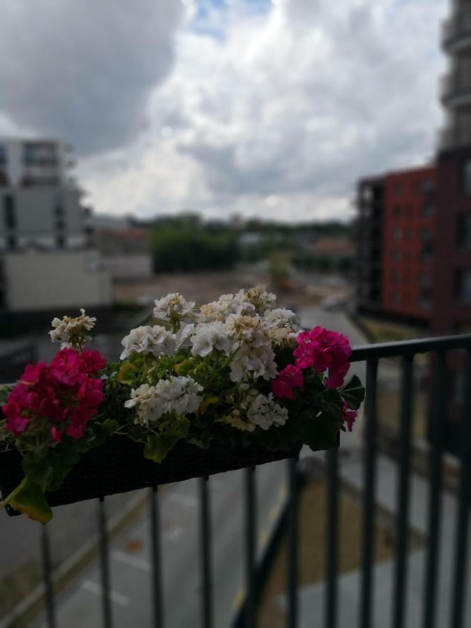 Elegant Apartment Close To The Old Town فيلنيوس المظهر الخارجي الصورة